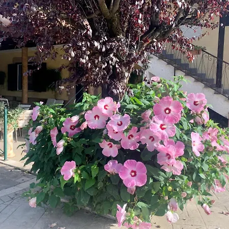 Residenza Cerci Valmontone