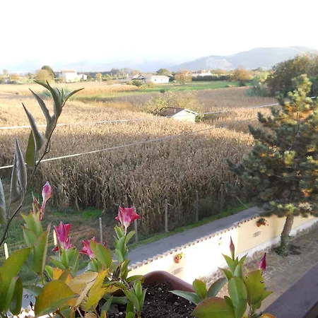 Residenza Cerci 3*