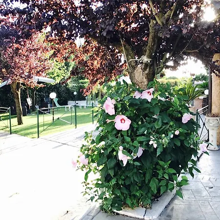 Guest house Residenza Cerci Valmontone